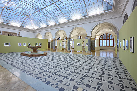 Innenbereich der Ausstellung mit grünende Stellwänden und gerahmten Fotografien